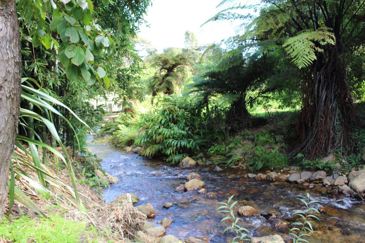 Parsloe'S Cottage Coromandel المظهر الخارجي الصورة