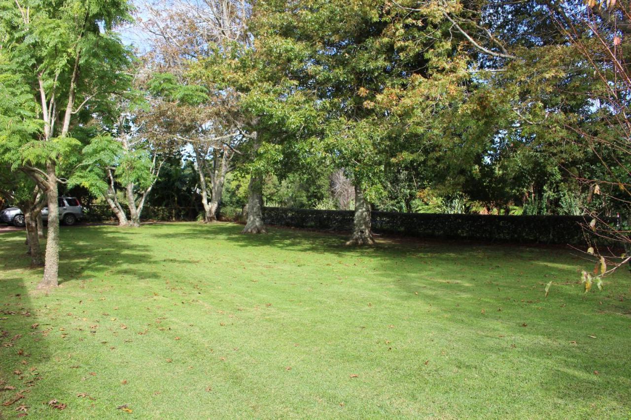 Parsloe'S Cottage Coromandel المظهر الخارجي الصورة